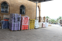 جمعية يافا تدعو العائلات لاستلام نصيبها من الخضار الطازجة